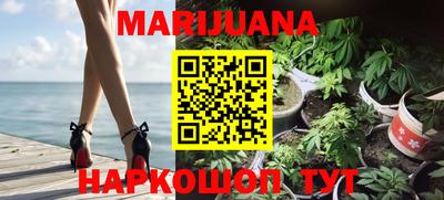 гашик Новодвинск