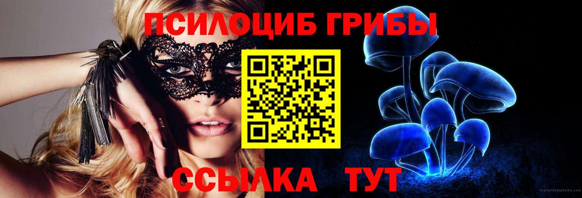 Псилоцибиновые грибы Psilocybine cubensis Стрежевой